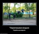 Іван Савченко фотография #4 (источник - https://vk.com/id153939034)