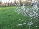 Ярослав Іванишен фотография #28 (источник - https://vk.com/id153989322)