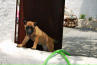 Юлія Потієвська фотография #46 (источник - https://vk.com/id2889548)