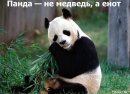 Діма Остапишин фотография #25 (источник - https://vk.com/id26627804)