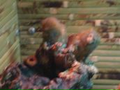 Мішаня Василюк фотография #34 (источник - https://vk.com/id16829036)