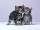 Іннуся Мокрицька фотография #11 (источник - https://vk.com/id23725148)