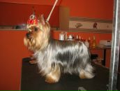 Фотография Гринчук Екатерины