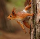 Фотография Ефимовой Ирины