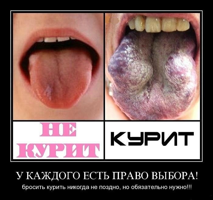 Руслан Мацук фотография #43