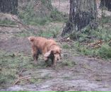 Анастасія Лісовська фотография #42 (источник - https://vk.com/id15273075)