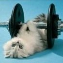 Вікторія Кибалюк фотография #44 (источник - https://vk.com/id37060711)