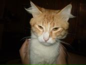 Андрей Марченко фотография #15 (источник - https://vk.com/id2327790)