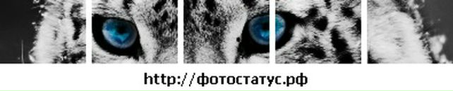 Ігор Савка фотография #13 (источник - https://vk.com/id18371976)