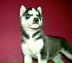 Фотография Зарницыной Марии