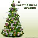 Фотография Юдиной Татьяны