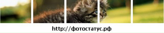 Сабріна Алієва фотография #28 (источник - https://vk.com/id140458033)