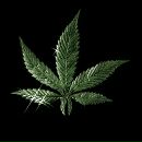 Андрій Васюта фотография #2 (источник - https://vk.com/id136153849)