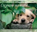 Міша Райко фотография #10 (источник - https://vk.com/id143862168)