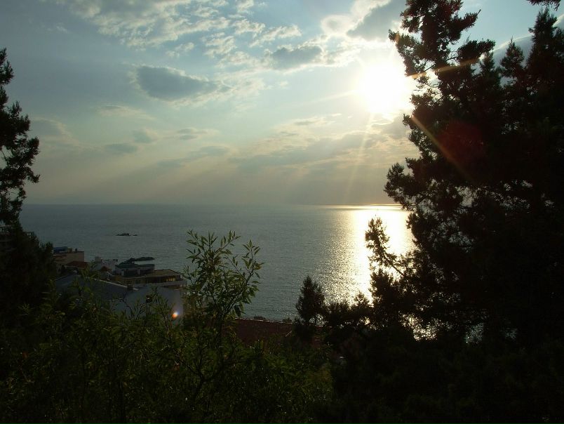 Александр Немо фото №32