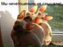 Фотография Кулеш Елены