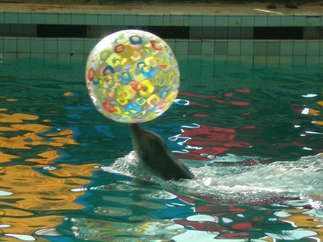 Ирина Мальцева фотография #45