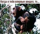 Наталія Тимошенко фотография #36 (источник - https://vk.com/id37535603)