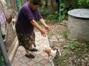 Дункан Двіжовий фотография #1