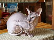 Ольга Радзіх фотография #42 (источник - https://vk.com/id16828377)