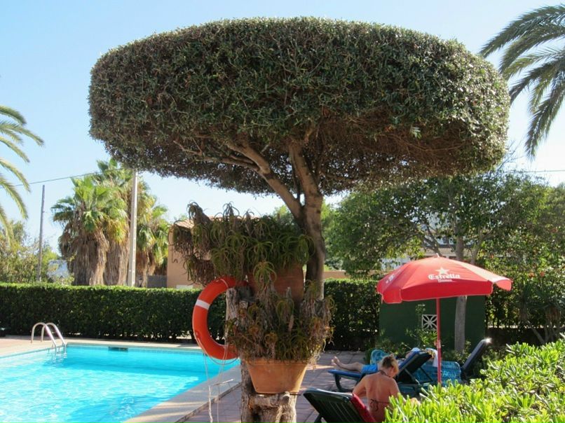 Julia Prokopenko фото №10