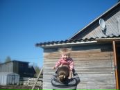 Фотография  