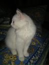 Фотография Журавлева Ивана