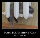 Ирина Журавлёва фотография #40 (источник - https://vk.com/id87876901)