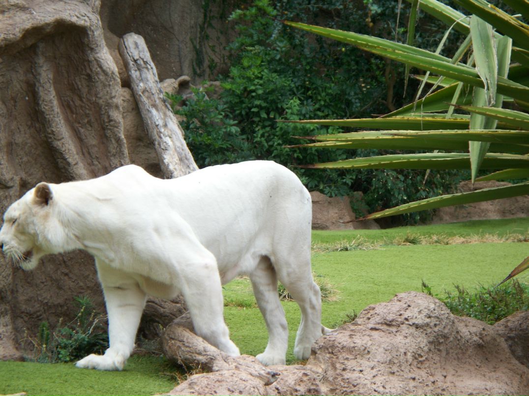 Дмитрий Мельников фотография #4