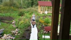 Дмитрий Крамарев фотография #5 (источник - https://vk.com/id274882)