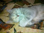 Фотография Евсюковой Верочки