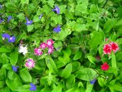 Фотография Середкиной Ларисы