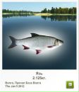 Ріхард Козьма фотография #26 (источник - https://vk.com/id133594969)