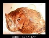 Фотография Радивонова Мини