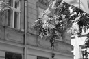 Іван Купало фотография #18 (источник - https://vk.com/id94516994)
