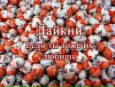 Соломійка Гайдук фотография #7 (источник - https://vk.com/id157387907)