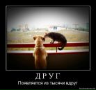 Фотография Резановой Анны