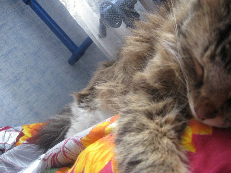 Катя Fr фотография #21