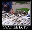 Кариночка ♥♥♥ фотография #5 (источник - https://vk.com/id82422332)