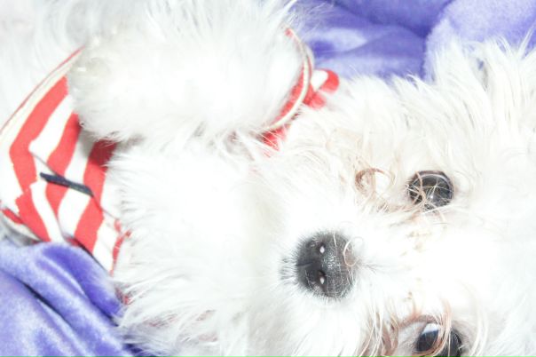 Elya K фото №12