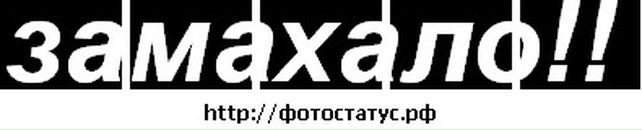 Аліна Пилипів фотография #1