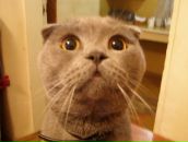 Фотография Манкевича Владимира