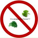 Фотография Козловой Ксении