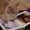 Ліля Валько фотография #10 (источник - https://vk.com/id84685089)