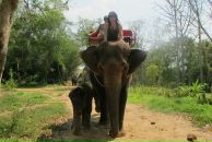 So D фотография #41 (источник - https://vk.com/id875514)