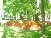 Елена Марковская фотография #24 (источник - https://vk.com/id4057570)