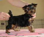 Владлєна Козачок фотография #42 (источник - https://vk.com/id98642620)