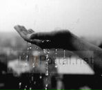 Валерия Тараканова фотография #1