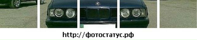 Дмитрий Нечаев фотография #33 (источник - https://vk.com/id33808237)