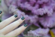 Фотография Лесной Сони